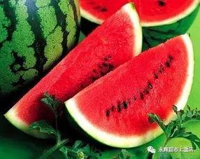 万达吃瓜比赛,一场全民参与的夏日狂欢盛宴